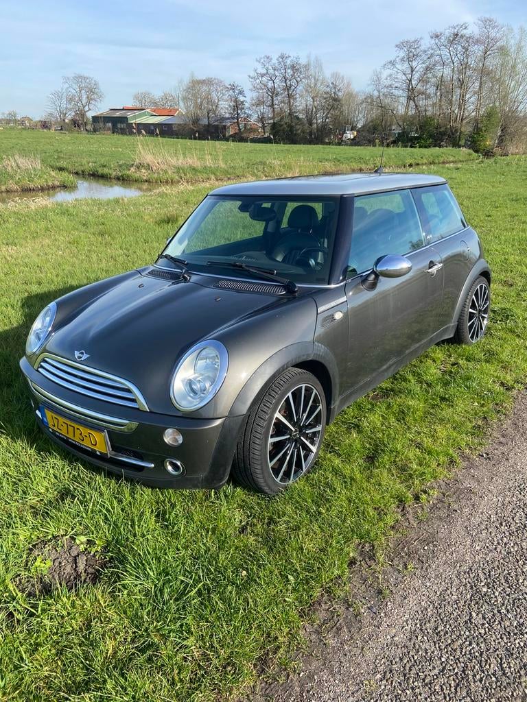 Mini Cooper 1,6 Park Lane, leer, stoelverw, afneembare trekh, Voorwielaandrijving, 4 cilinders, 4 stoelen, 116 pk