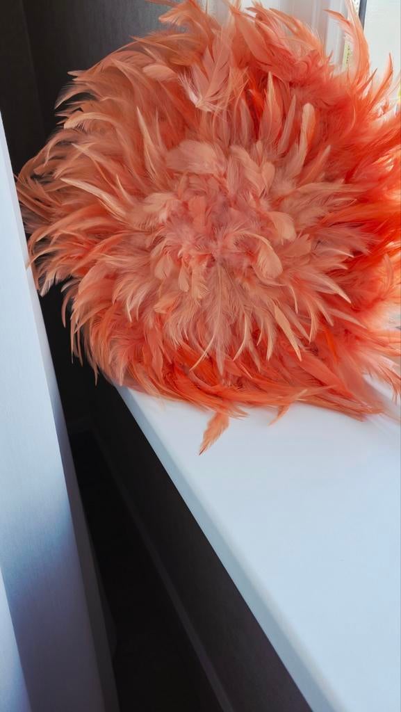 Oranje wanddecoratie veren, Ophalen of Verzenden, Nieuw