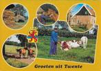 Ch271 ongelopen ansichtkaart groeten uit twente, Verzamelen, Ophalen of Verzenden, 1980 tot heden, Gelopen, Overijssel