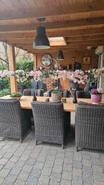 prachtige tuinset. 305 cm lang compleet!, Tuin en Terras, Tuinsets en Loungesets, Ophalen of Verzenden, Zo goed als nieuw, Wicker