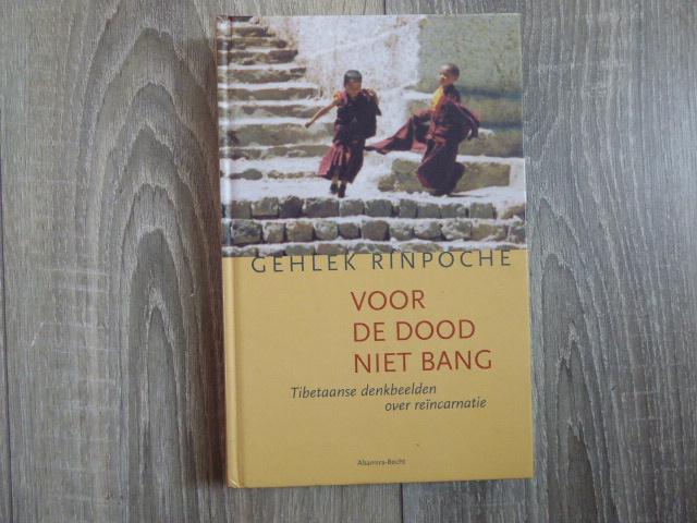 Voor de DOOD niet BANG TIBETAANS Boek LEVEN STERVEN RINPOCHE, Ophalen of Verzenden, Zo goed als nieuw, Overige onderwerpen, Achtergrond en Informatie