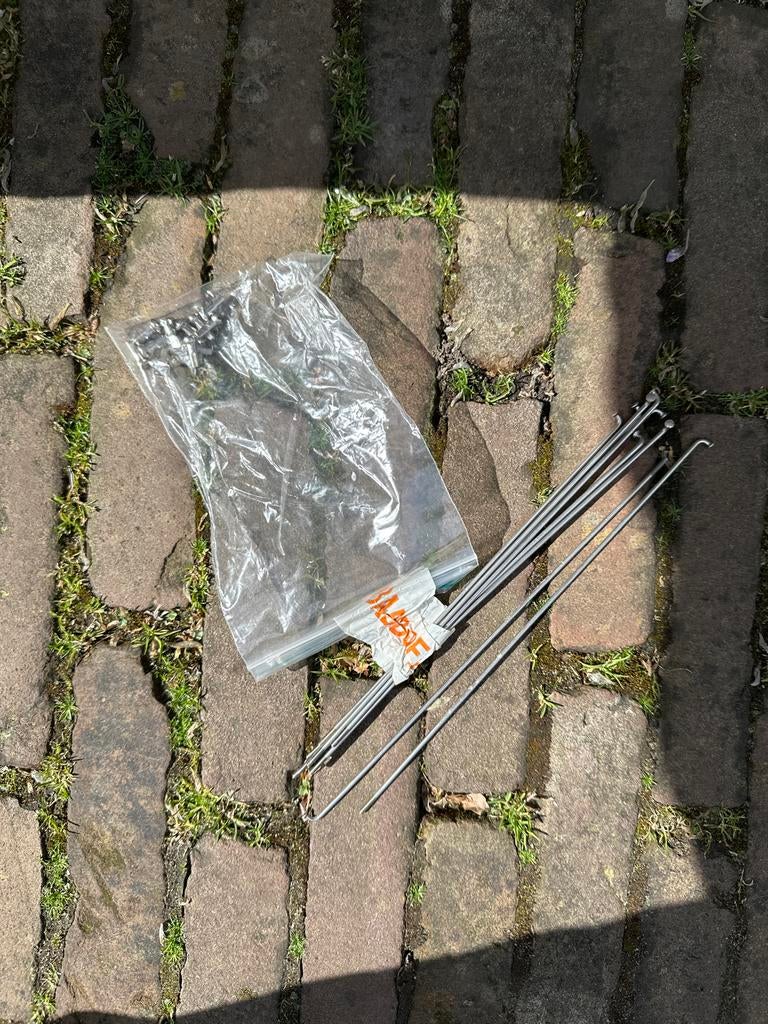 Spaken voor Babboe bakfiets - Nieuw, Fietsen en Brommers, Fietsonderdelen, Wiel, Bakfiets, Ophalen of Verzenden, Nieuw