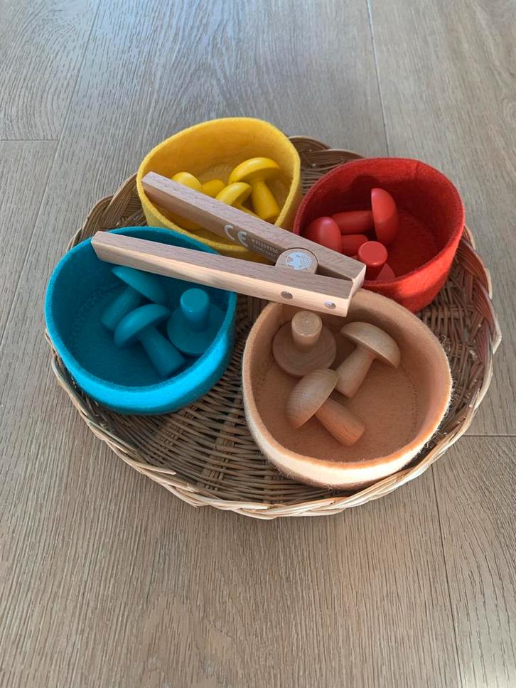 Houten sorteerspel fijne motoriek met pincet en bakjes, Kinderen en Baby's, Speelgoed | Houten speelgoed, Zo goed als nieuw, Overige typen