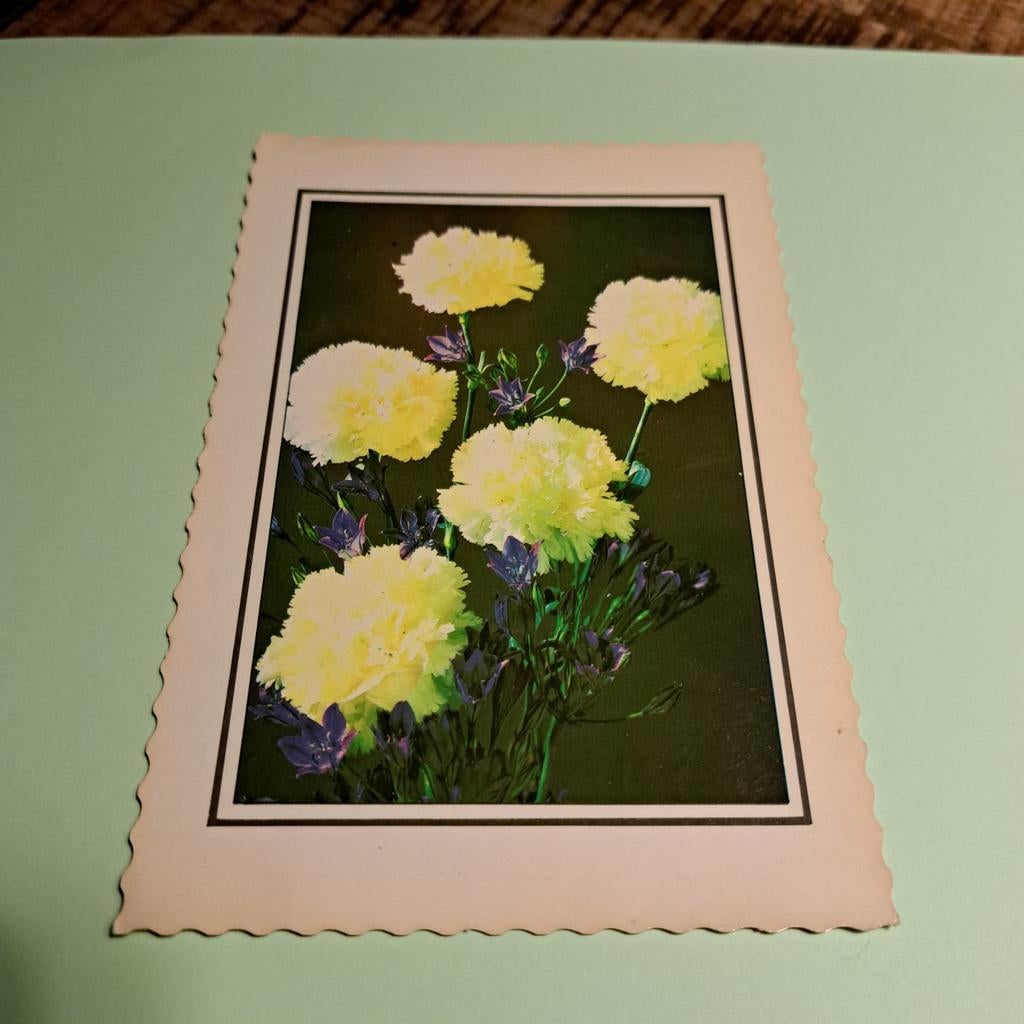 Vintage Ansichtkaart Anjers Bloemen Turkije, Ophalen of Verzenden, 1960 tot 1980, Ongelopen, Natuur