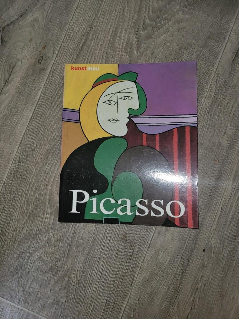 Picasso kunstmini, Ophalen of Verzenden, Zo goed als nieuw