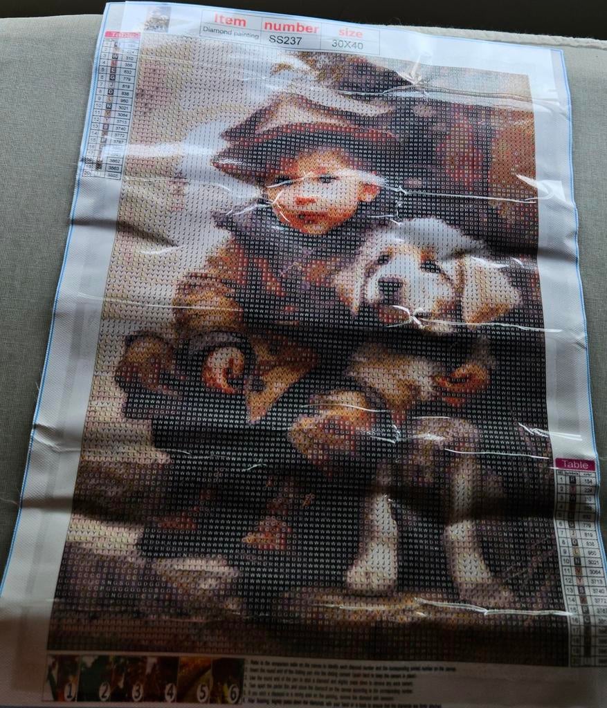 Diamond Painting, Hobby en Vrije tijd, Ophalen of Verzenden, Nieuw, Borduurpakket