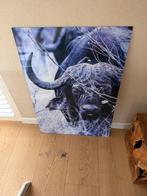 Unieke glasplaat 70x100 cm - Afrikaanse buffel zwart wit, Ophalen, Gebruikt, Overige typen, 75 tot 100 cm