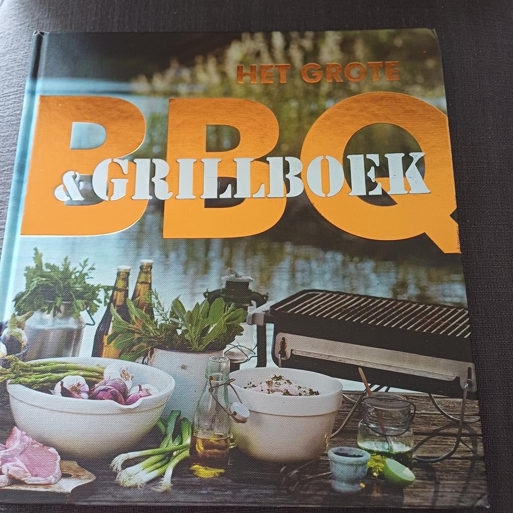 Malin Ottosson - Het grote BBQ en grillboek, Ophalen of Verzenden, Zo goed als nieuw, Malin Ottosson; Cecilia Lundin
