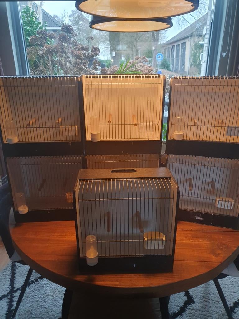 Tentoonstellingkooitjes, Dieren en Toebehoren, Vogels | Hokken en Kooien, Ophalen, Hout, Vogelkooi