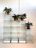 Glazen kubus vitrinekasten, modulair systeem, Ophalen, Minder dan 50 cm, Gebruikt, Luxe