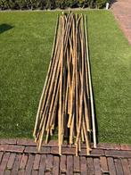 Bamboe stokken 3 meter, Tuin en Terras, Palen, Balken en Planken, Ophalen, Gebruikt, 250 cm of meer, Overige typen