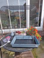 Duvo kanarie kooi, Ophalen, Gebruikt, Metaal, Vogelkooi