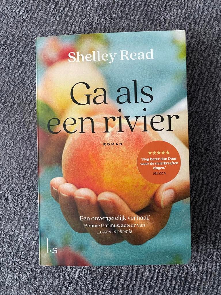 Ga als een rivier - Shelley Read (Roman), Boeken, Romans, Zo goed als nieuw, Nederland, Ophalen of Verzenden