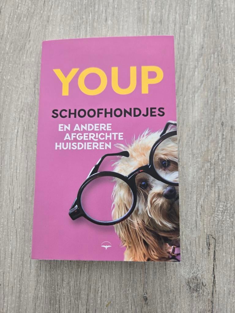 Youp - Schoofhondjes en andere afgerichte huisdieren, Ophalen of Verzenden, Zo goed als nieuw