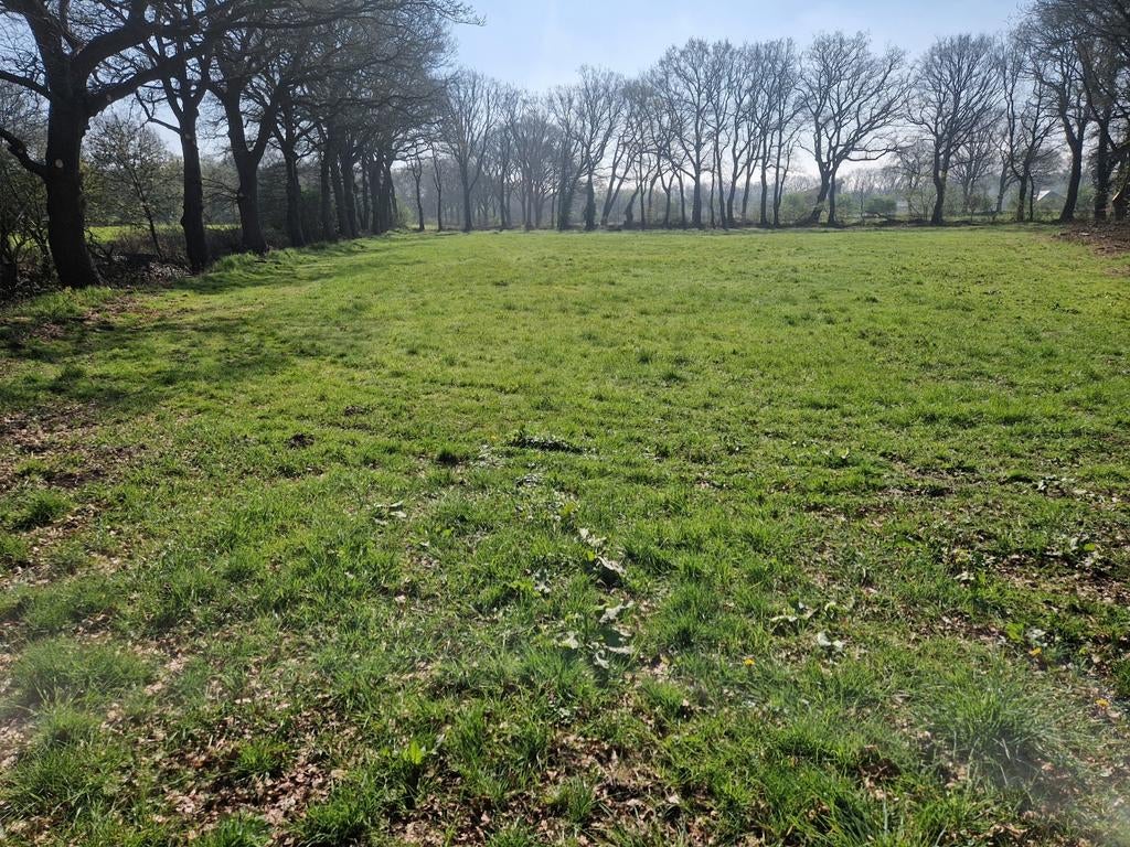 Paarden weide en eventueel stalling, Stalling