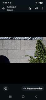 * * Gezocht - Te Koop Gevraagd * *, Ophalen of Verzenden, Beton