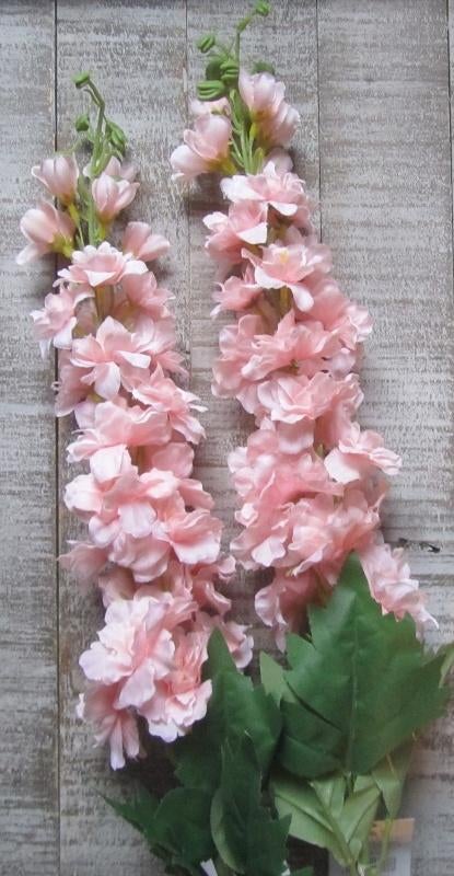 RIDDERSPOOR - KUNST - ROZE