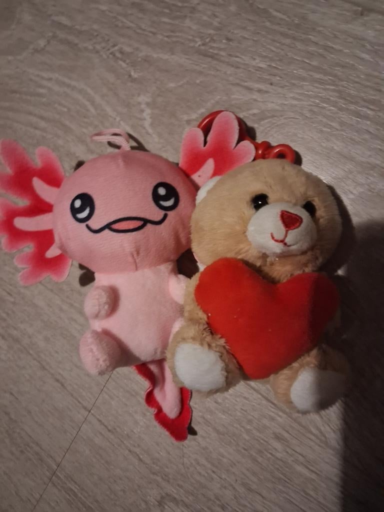 Leuke Kermis Knuffeltjes: Axolotl en Beer met Hartje, Ophalen of Verzenden, Zo goed als nieuw, Beer