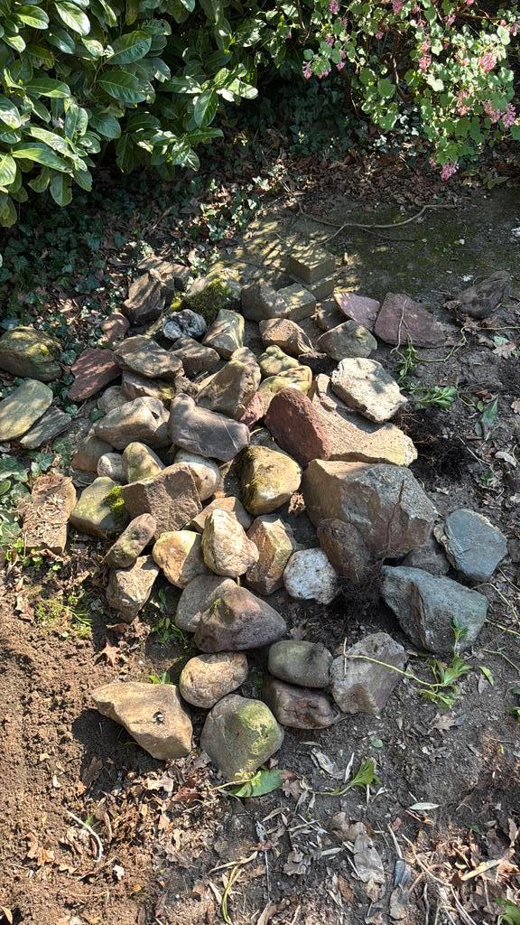 Decoratieve Vijverkeien - Natuurlijke Tuinaccenten, Tuin en Terras, Grind, Keien en Split, Gebruikt, Kei, Grijs, Overige materialen