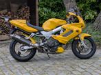 Honda VTR1000F Firestorm, 2 cilinders, Sportuitlaat, Motorrijbewijs A, Sport