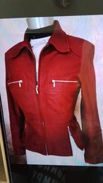 Echt leren donker rood jasje  , Frans model, Ophalen of Verzenden, Zo goed als nieuw, Jasje, Maat 36 (S)