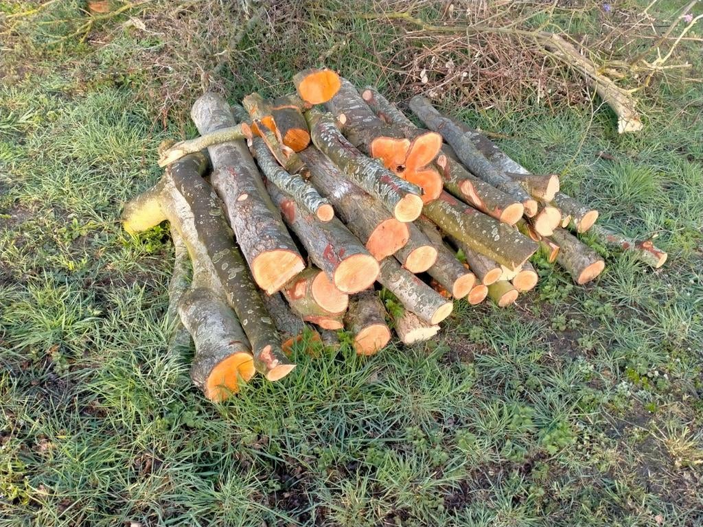 Haardhout boomstammen kachel hout te koop, Tuin en Terras, Haardhout, Minder dan 3 m³, Ophalen of Verzenden