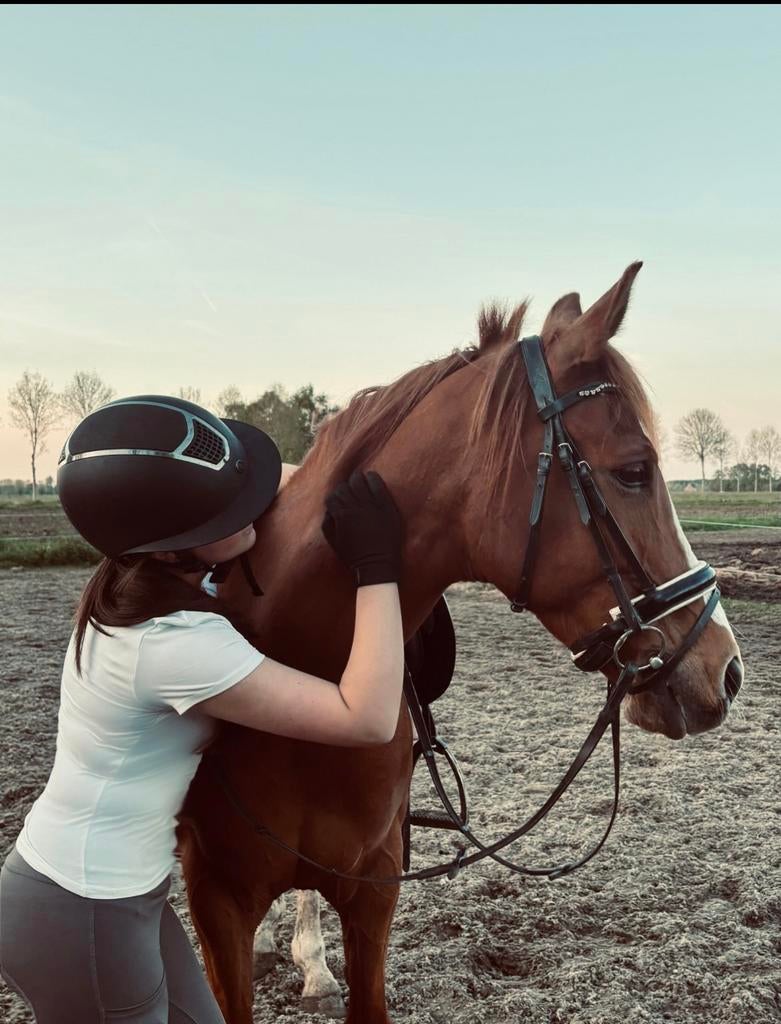 Bijrijder aangeboden/verzorg/lease paard gezocht!, Ophalen of Verzenden, Zo goed als nieuw