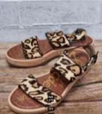 Sam Edelman - Prachtige leren sandalen maat 36 - Nieuw, Bruin, Sam Edelman, Nieuw, X