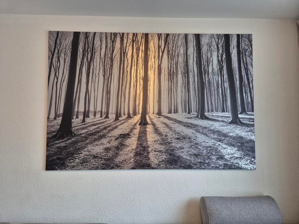 Schilderij, Antiek en Kunst, Kunst | Schilderijen | Abstract, Ophalen