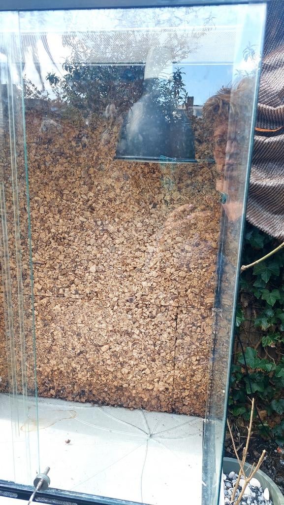 Terrarium met fitting zonder verlichting inclusief onderkast, Ophalen, 80 tot 120 cm, Glasplaat, 160 cm of meer