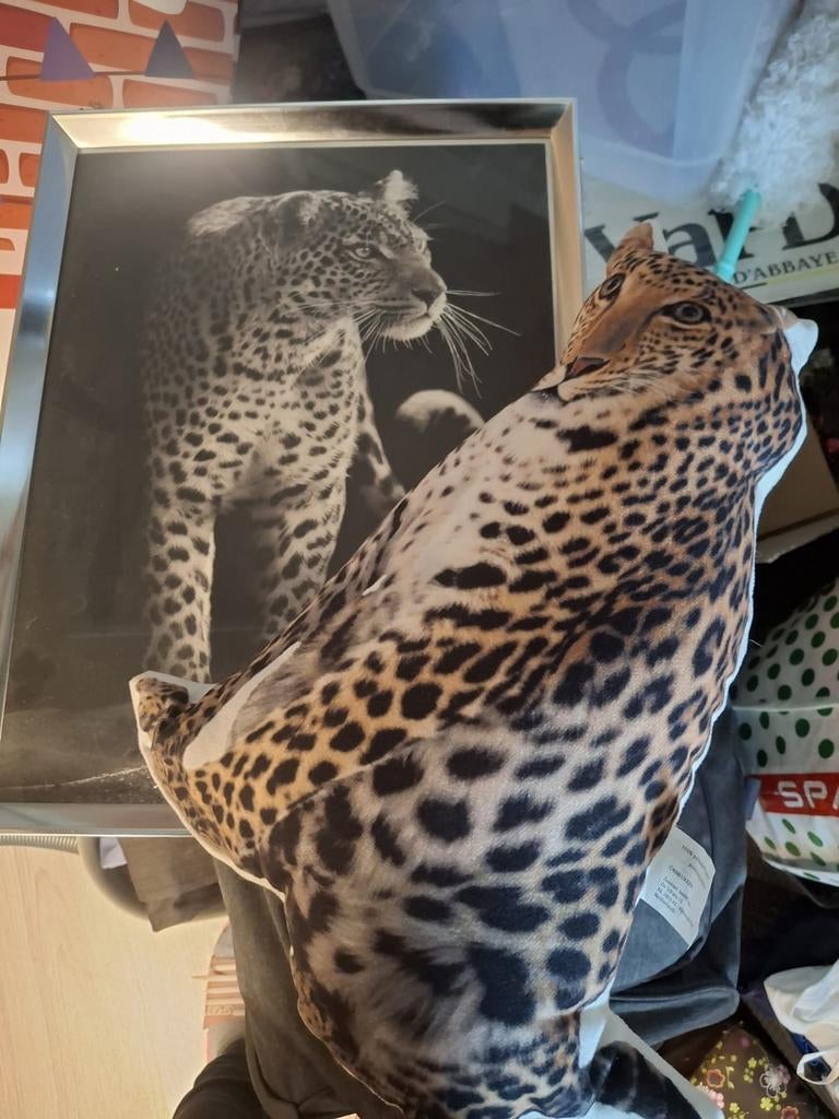 Wanddecoratie en kussen met luipaardprint, Ophalen