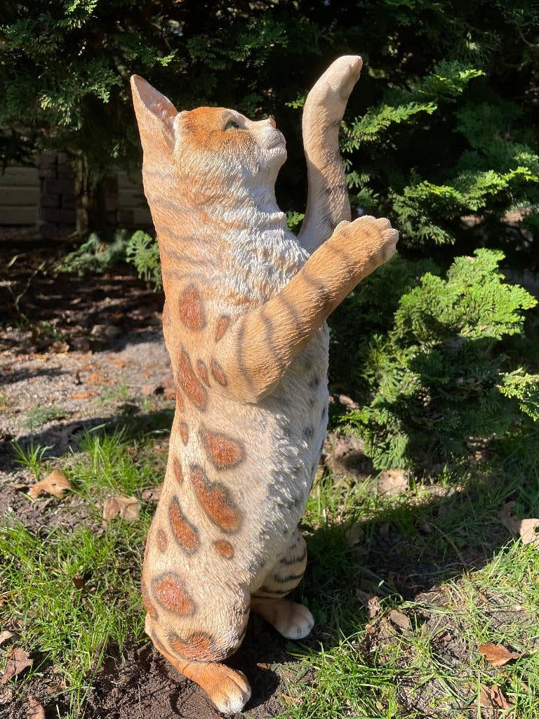 Poes, kat, Bruin, tuin, gazon, kitten, boerderij 50cm, Ophalen of Verzenden, Nieuw, Kunststof, Dierenbeeld