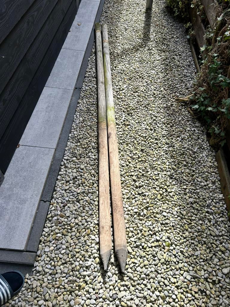 Boompalen 230cm, Tuin en Terras, Palen, Balken en Planken, Ophalen, Zo goed als nieuw, Minder dan 180 cm, Palen