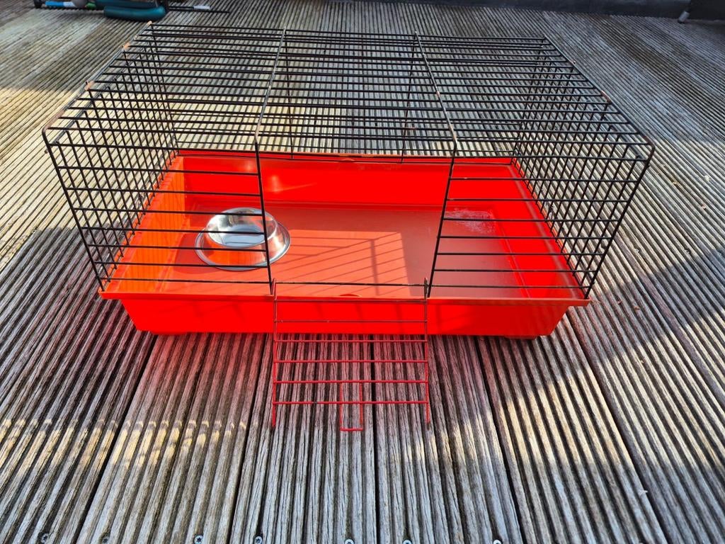 Kooi voor cavia of konijn., Kooi, Gebruikt, Minder dan 75 cm, Konijn