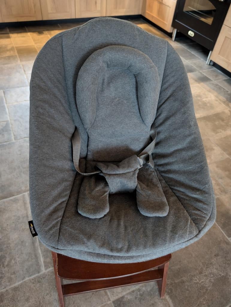 Hauck Alpha Bouncer Premium 2 in 1 wipstoel, Ophalen of Verzenden, Zo goed als nieuw, Overige typen, Gordel(s)