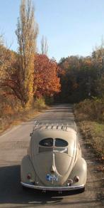 Vervoer-Beroepen-foto-J-495  Volkswagen, Verzenden, 1980 tot heden, Foto, Nieuw