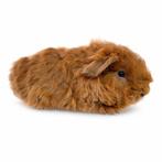 Jong Texel beertje - goud/wit, Mannelijk, Tam, Maart, Cavia