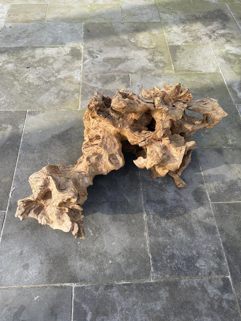 Uniek decoratief wortelhout stuk, 50 - 100 cm, Handgemaakt, Bruin, Europa