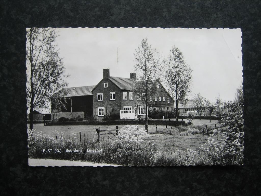 ELST Boerderij Lingehof 1962 JosPe, Ophalen of Verzenden, 1960 tot 1980, Gelderland