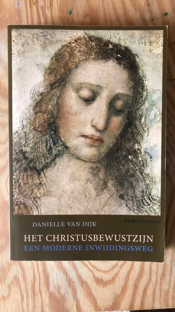 Het Christusbewustzijn: Een Moderne Inwijdingsweg, Ophalen of Verzenden, Zo goed als nieuw, Spiritualiteit algemeen, Achtergrond en Informatie