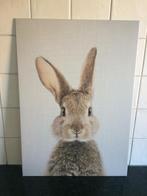 Displate poster metaal schattig konijn 45 x 32 cm, Minder dan 50 cm, Ophalen of Verzenden, Zo goed als nieuw, Foto of Poster