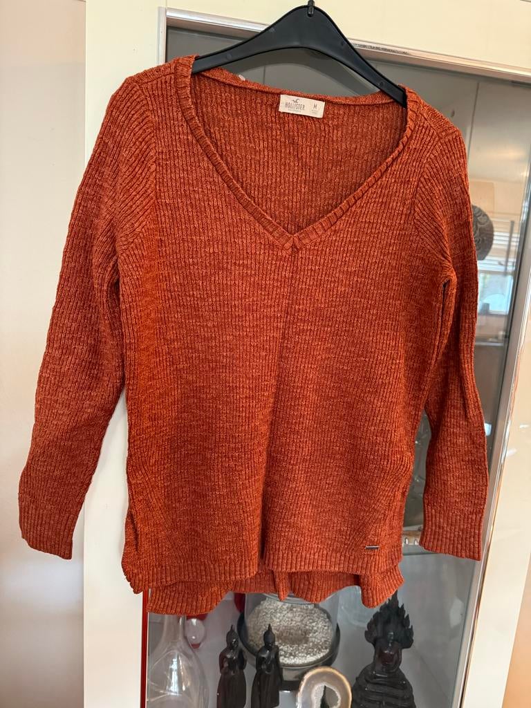 Hollister trui maat M oranje bruin, Kleding | Dames, Truien en Vesten, Ophalen of Verzenden, Zo goed als nieuw, Maat 38/40 (M)
