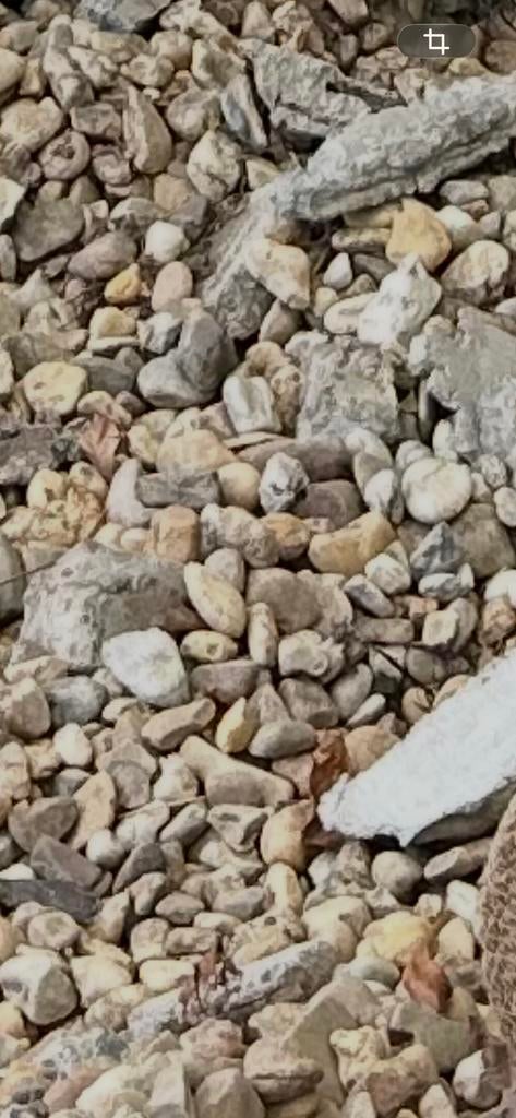 Grove kiezel, ongeveer 1m3, Ophalen, Gebruikt, Multi, Grind