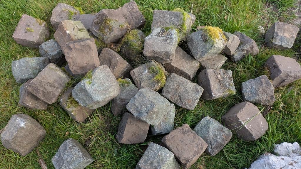 Kinderkopjes voor sier in de tuin. Veel aanwezig, Ophalen