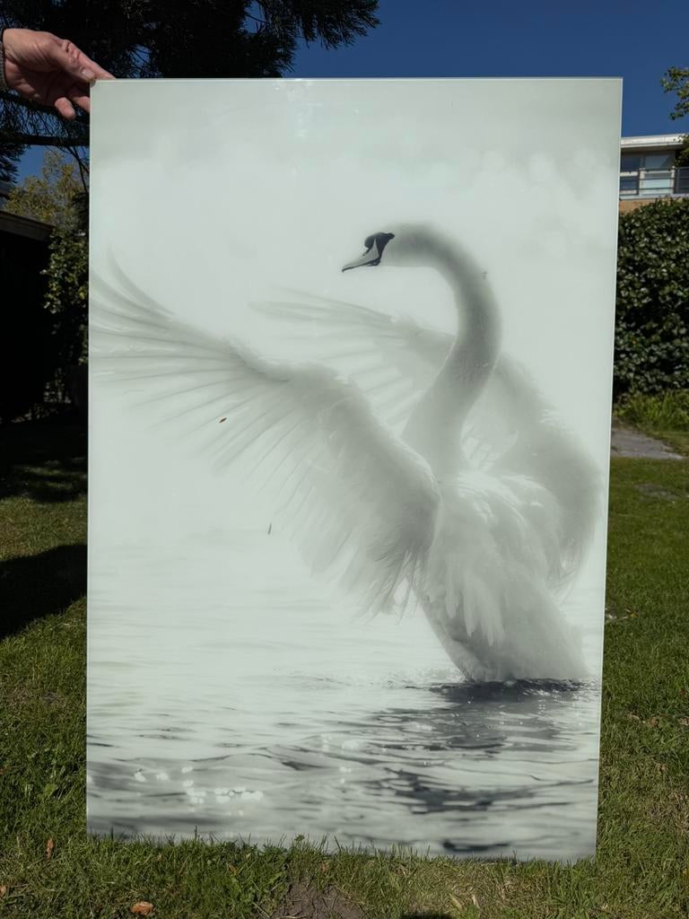 Glasschilderij 120 x80, Antiek en Kunst, Kunst | Tekeningen en Foto's, Ophalen