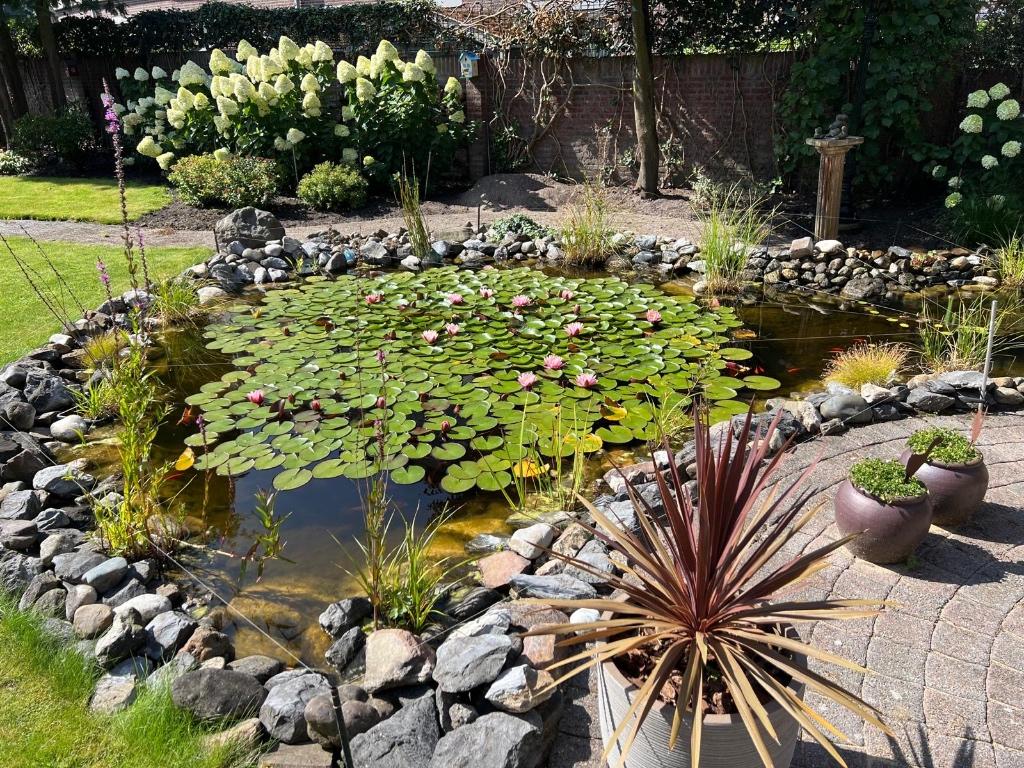 Gratis maaskeien, Ophalen of Verzenden, Nieuw, Vijverrand