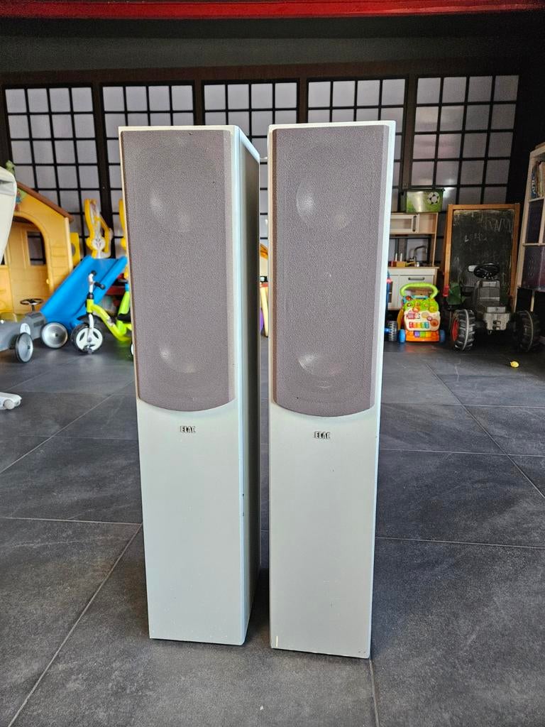 ELAC FS 108.2, Audio, Tv en Foto, Luidsprekers, Gebruikt, 120 watt of meer, Front, Rear of Stereo speakers, Ophalen