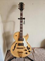 Richwood Hollowbody Gitaar, Muziek en Instrumenten, Ophalen, Gebruikt, Hollow body, Overige merken