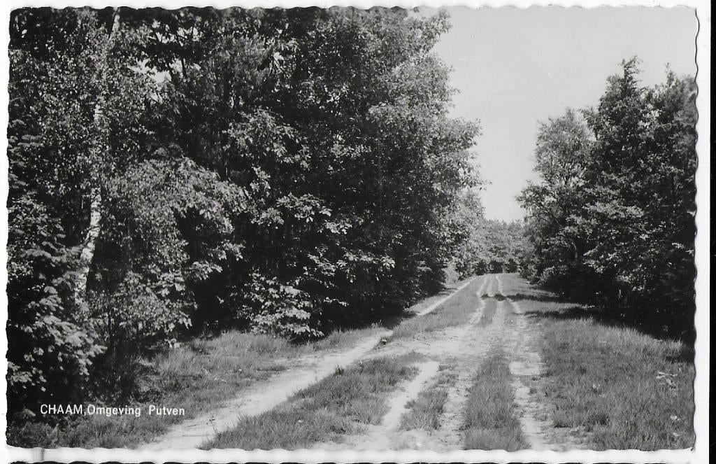 Chaam Omgeving Putven Oude Gelopen Ansichtkaart (B1836 ), Ophalen of Verzenden, 1960 tot 1980, Gelopen