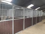 Per 1 april box vrij op kleinschalige stal in Soest, Dieren en Toebehoren, Stalling en Weidegang, Weidegang